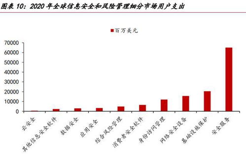 網(wǎng)絡(luò)安全的未來看服務(wù) 網(wǎng)絡(luò)與信息安全軟件開發(fā)的演進之路
